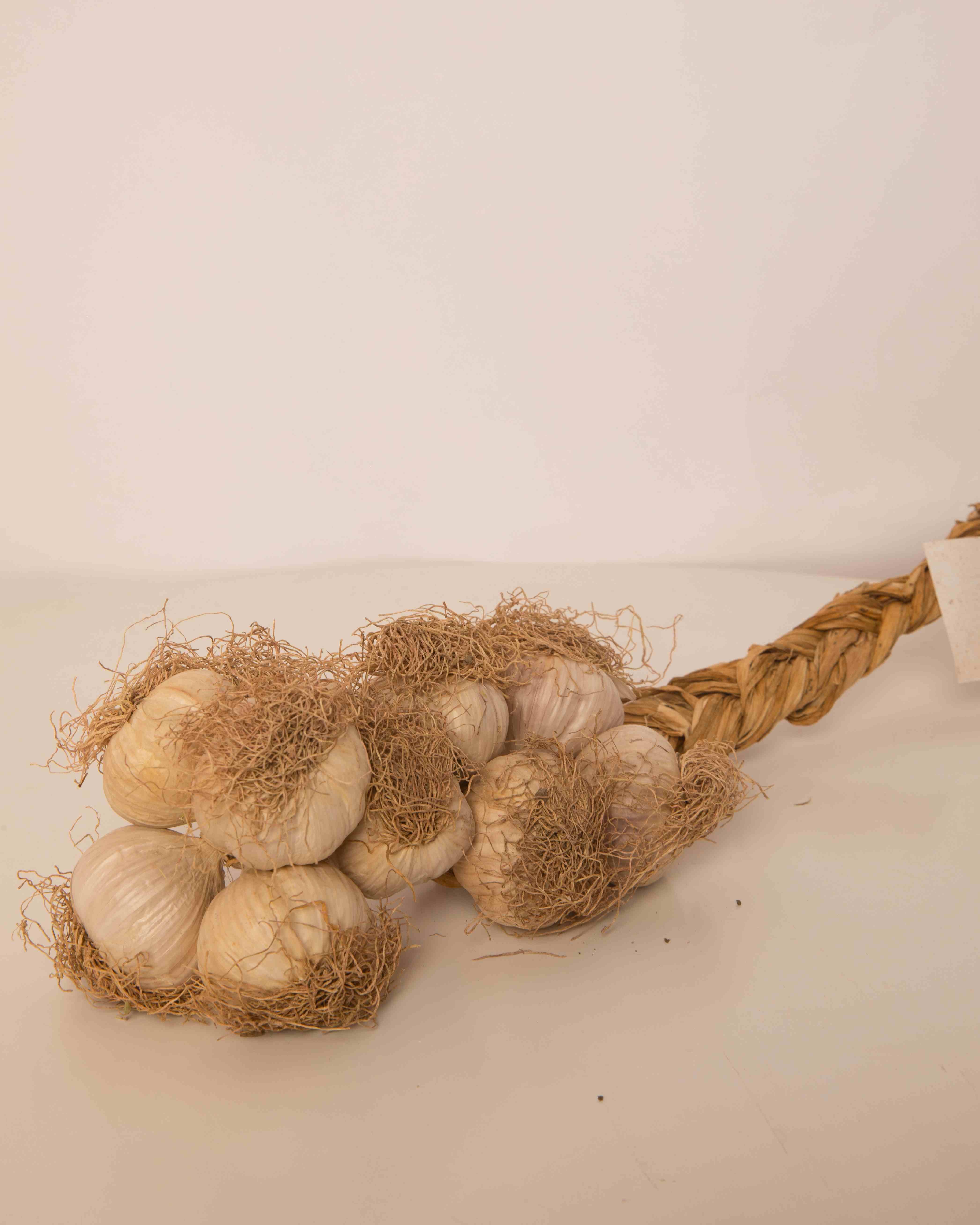 Aglio rosso di Nubia treccia piccola 