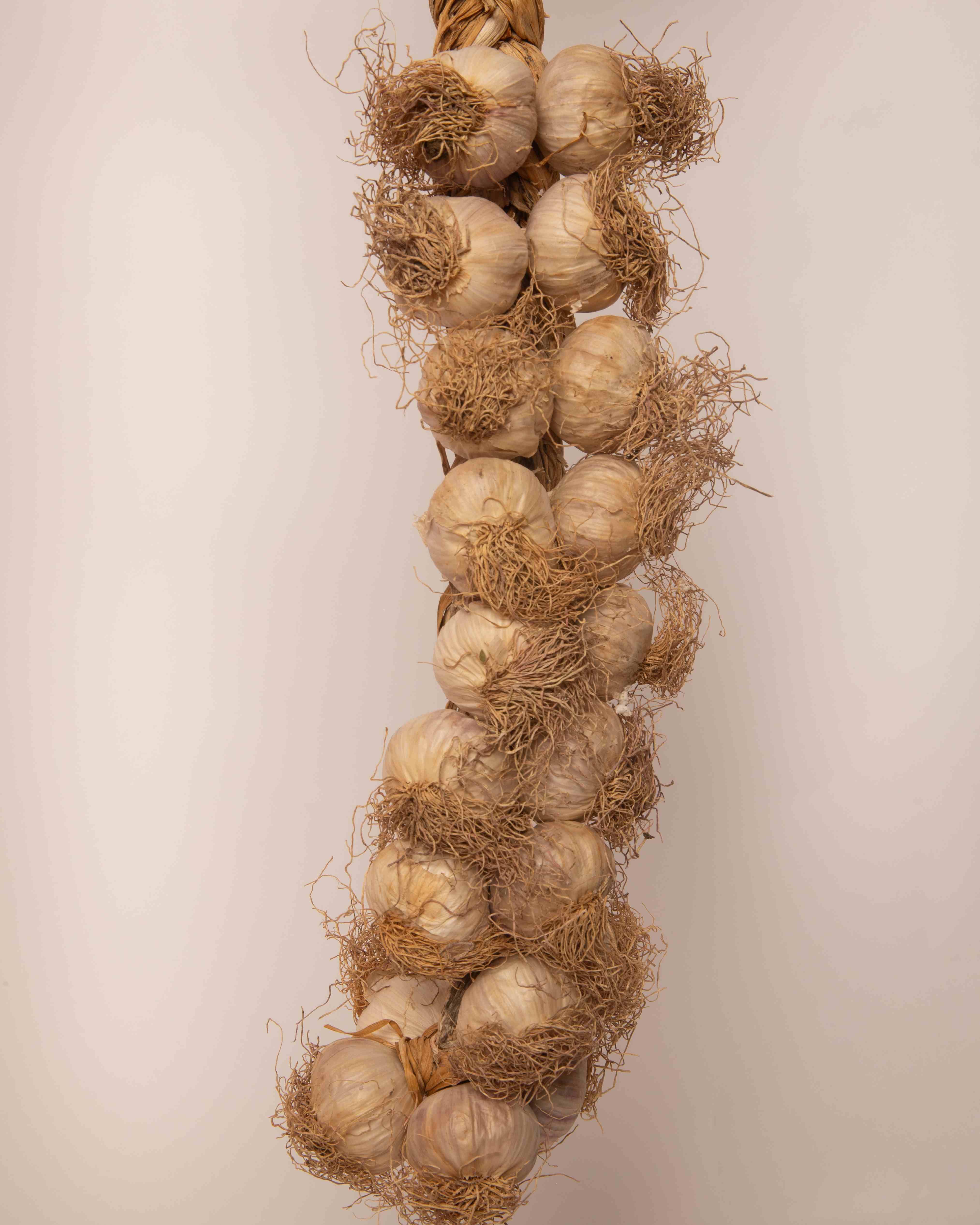 Aglio rosso di Nubia treccia grossa 